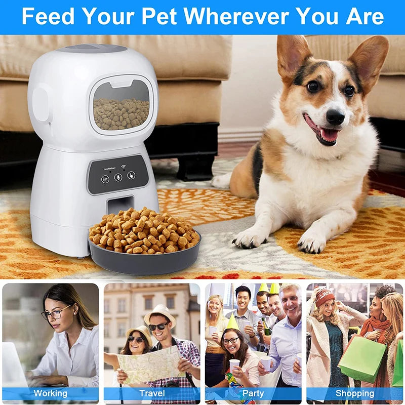 Automatic Pet Feeder For Dog & Cat